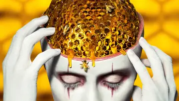 Backdrop for the TV series "American Horror Story" #1247106