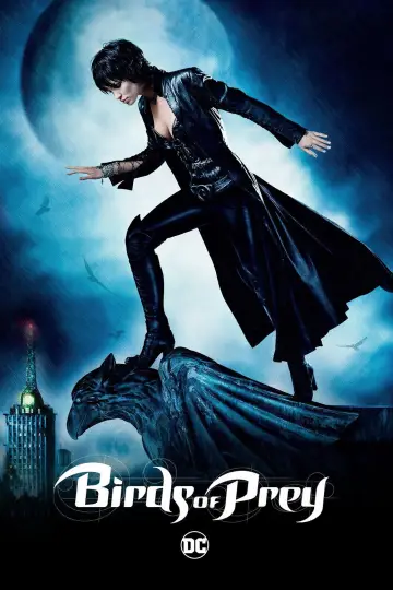 Poster for the TV series "Birds of Prey" #1606952