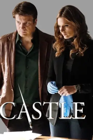 Poster for the TV series "Castle" #1250050