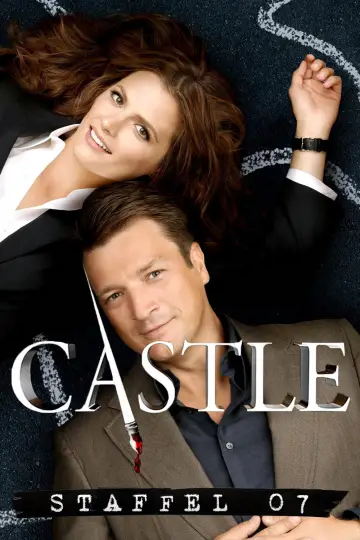 Poster for the TV series "Castle" #1250153