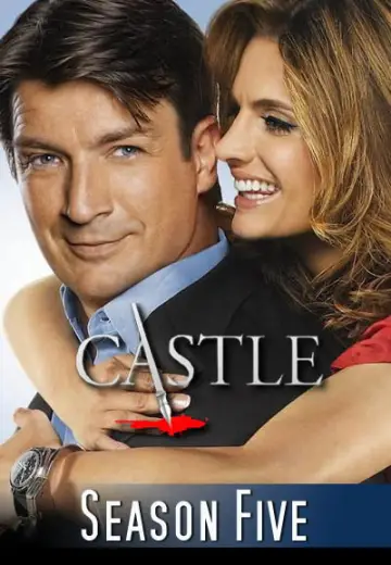 Poster for the TV series "Castle" #1265788