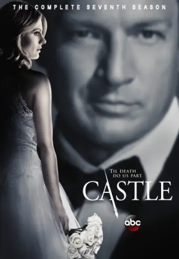 Poster for the TV series "Castle" #1265796