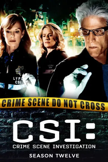 Poster for the TV series "CSI: Crime Scene Investigation" #1239626