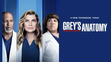 Backdrop к сериалу "Grey