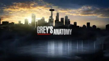 Backdrop к сериалу "Grey