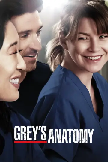 Poster for the TV series "Grey