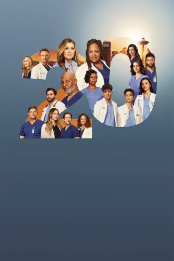 Poster for the TV series "Grey