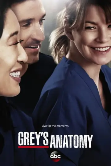 Poster for the TV series "Grey