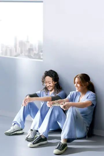 Poster for the TV series "Grey