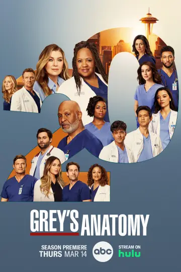 Poster for the TV series "Grey