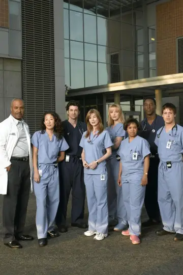 Poster for the TV series "Grey