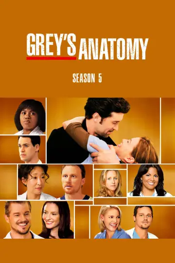 Poster for the TV series "Grey