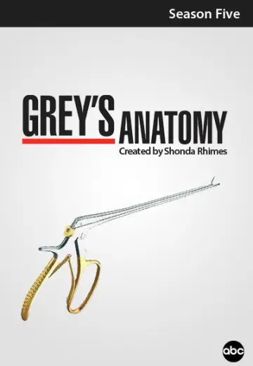 Poster for the TV series "Grey