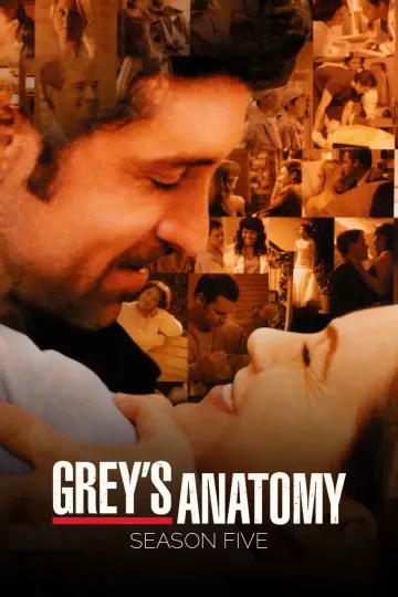 Poster for the TV series "Grey