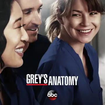 Poster for the TV series "Grey