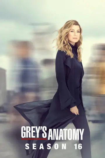 Poster for the TV series "Grey