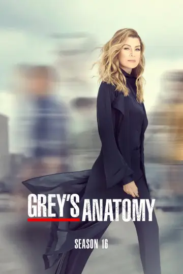 Poster for the TV series "Grey