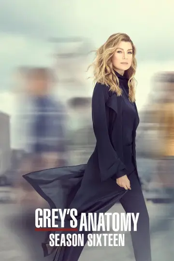 Poster for the TV series "Grey
