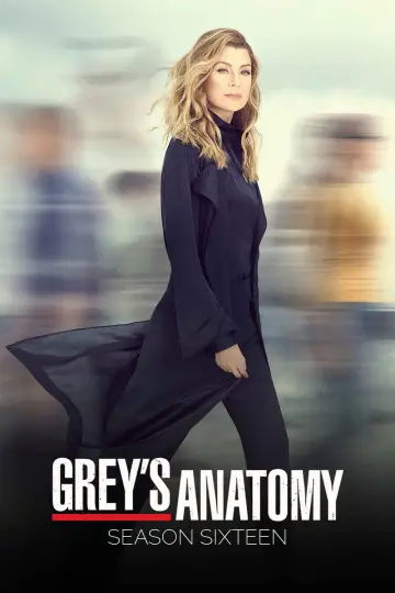 Poster for the TV series "Grey