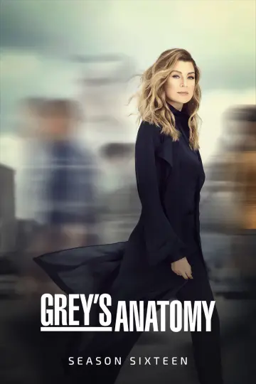 Poster for the TV series "Grey