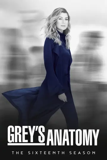 Poster for the TV series "Grey