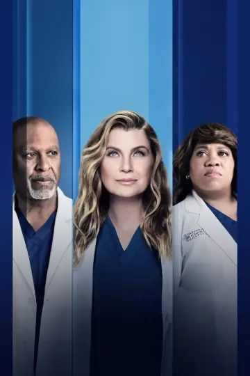 Poster for the TV series "Grey
