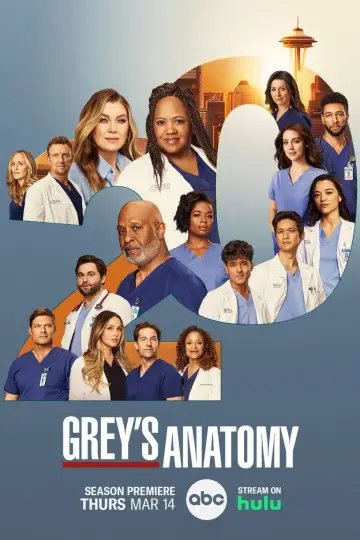 Poster for the TV series "Grey