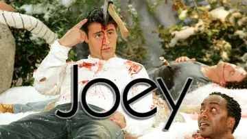 Backdrop for the TV series "Joey" #1367539