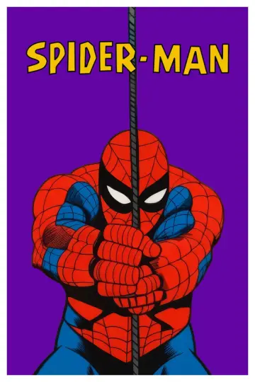 Poster for the TV series "Spider-Man" #1403714