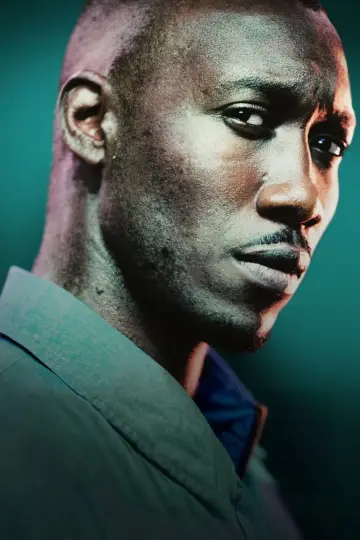 Poster for the TV series "The 4400" #1360932
