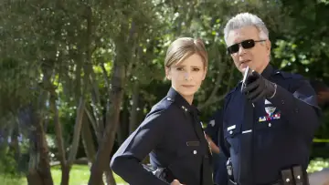 Backdrop for the TV series "The Closer" #1255163