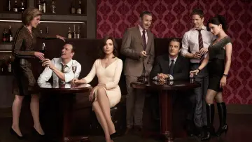 Backdrop for the TV series "The Good Wife" #1248615