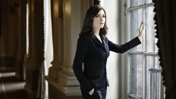 Backdrop for the TV series "The Good Wife" #1248633