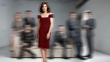 Backdrop for the TV series "The Good Wife" #1248641