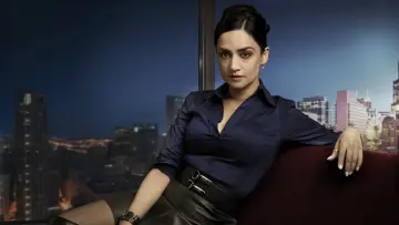 Backdrop for the TV series "The Good Wife" #1248652