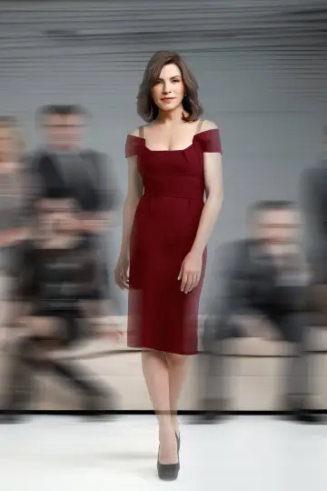 Poster for the TV series "The Good Wife" #1248772
