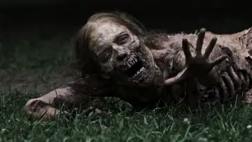 Backdrop for the TV series "The Walking Dead" #1234848