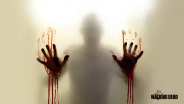 Backdrop for the TV series "The Walking Dead" #1234917