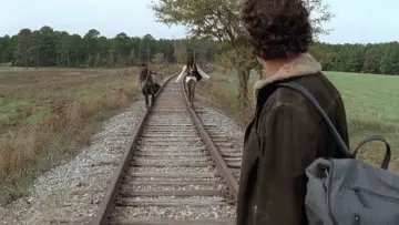 Backdrop for the TV series "The Walking Dead" #1234992