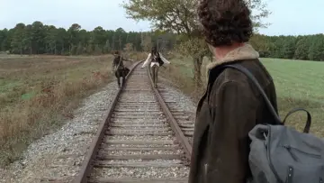 Backdrop for the TV series "The Walking Dead" #1234993