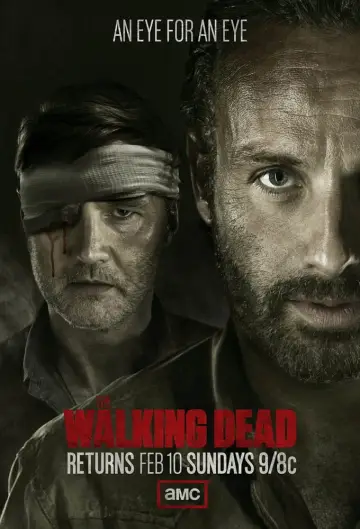 Poster for the TV series "The Walking Dead" #1235212