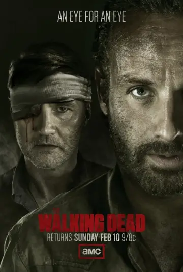 Poster for the TV series "The Walking Dead" #1235226