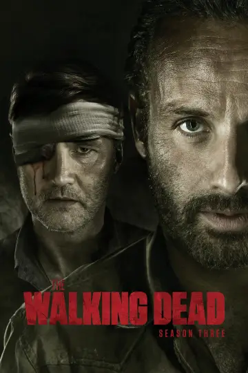 Poster for the TV series "The Walking Dead" #1241539