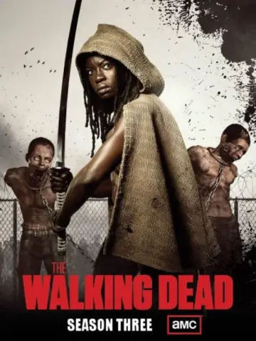 Poster for the TV series "The Walking Dead" #1241565