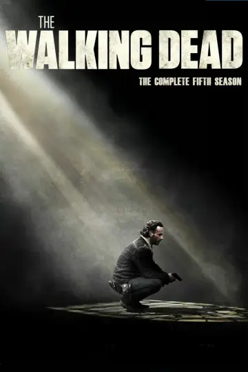 Poster for the TV series "The Walking Dead" #1241731