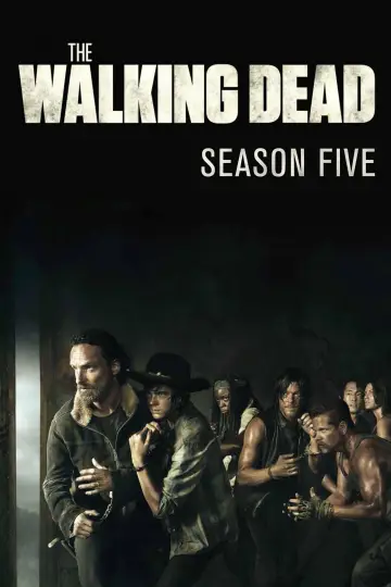 Poster for the TV series "The Walking Dead" #1241741