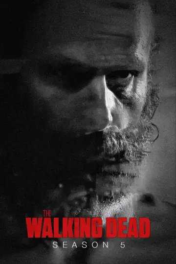 Poster for the TV series "The Walking Dead" #1241758