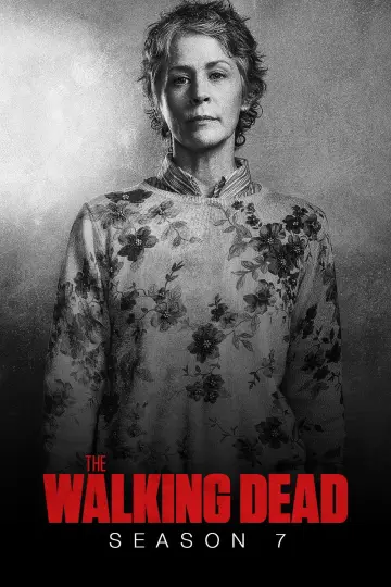 Poster for the TV series "The Walking Dead" #1241852