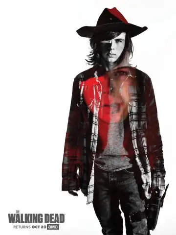 Poster for the TV series "The Walking Dead" #1241867