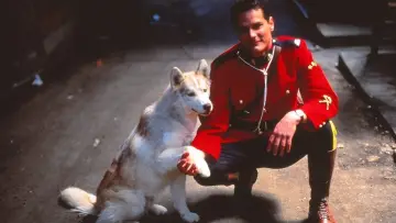 Backdrop for the TV series "Due South" #1333299